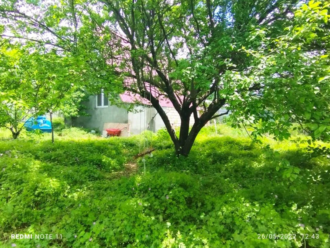İcarəyə verilir 3 otaqlı həyət evi/bağ evi 100 m² — Ev, villa, İsmayıllı (7)