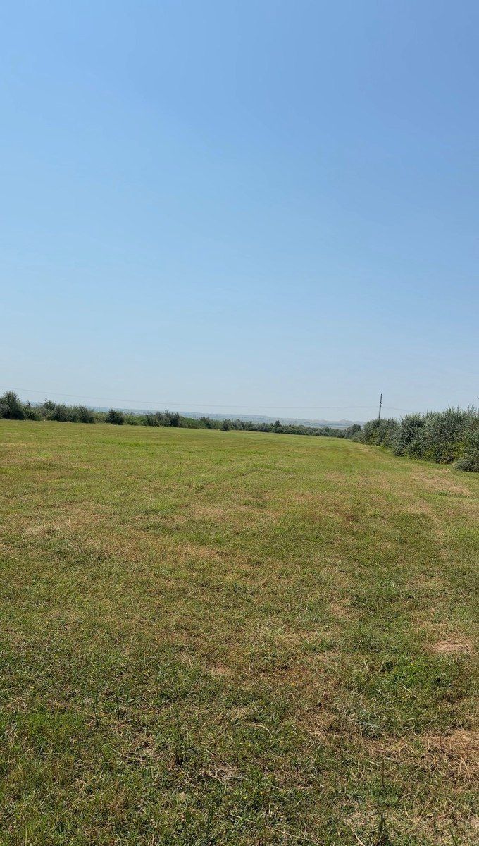 78000 sot torpaq sahəsi, Yevlax r — Torpaq, Yevlax (5)