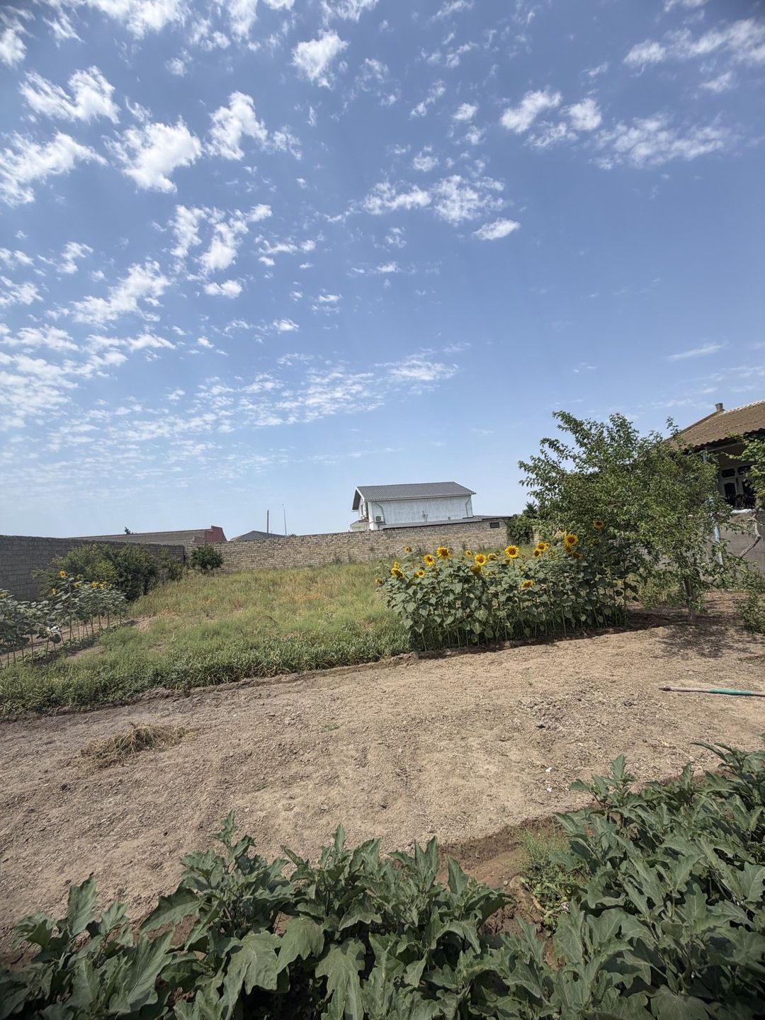 Həyət evi, Türkan qəs — Ev, villa, Bakı (6)