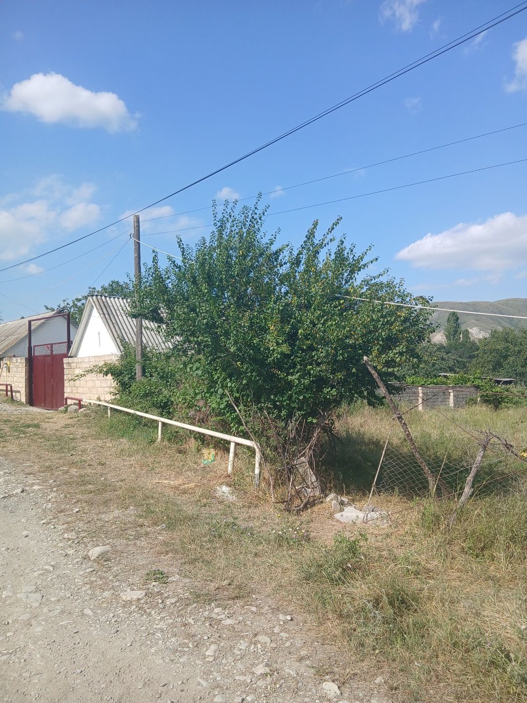 25 sot torpaq sahəsi, Şamaxı r — Torpaq, Şamaxı (7)