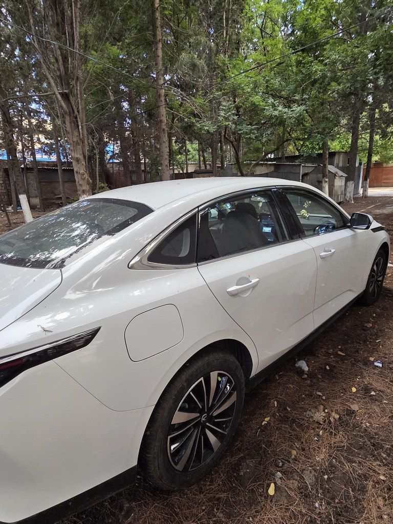 Changan Eado, 1.5 L, 9.07 kWh, 2025 il, 5 016 km 88-BZ-416 — Avtomobillər, Bakı (3)