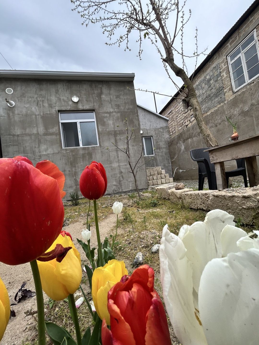 Həyət evi, Binə qəs — Ev, villa, Bakı (9)