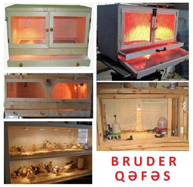 Cücə üçün Bruder. Toyuq Hini — Tibbi avadanlıqlar, Bakı