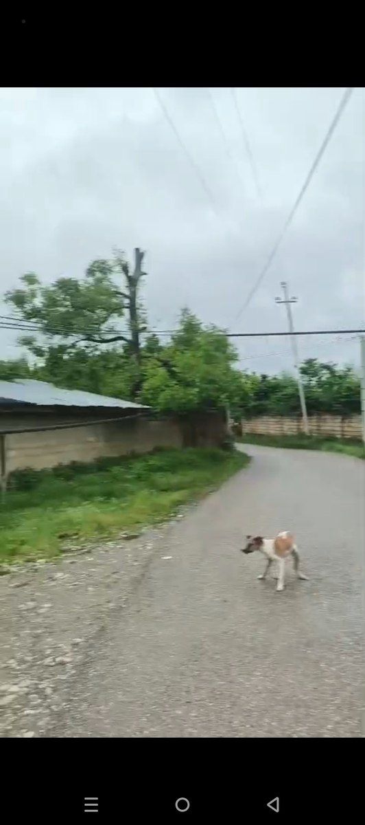 8 sot torpaq sahəsi, Quba r — Torpaq, Quba (8)