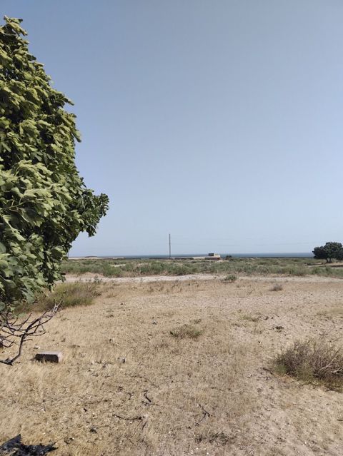 Turkan qes.Qizilqumda.denizden 180 metr arali.Denize panarama goruntu — Bakı