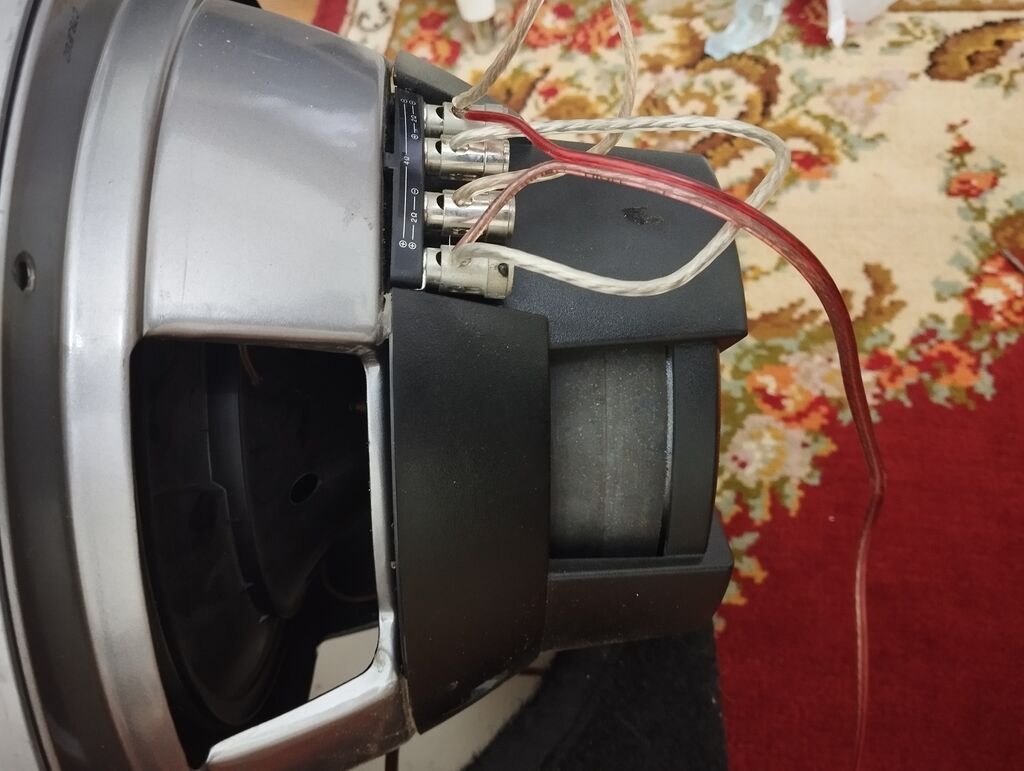 Pioneer Champion Series subvufer – TS-W308D2 - Model: TS-W308D2 (Dual — Avtomobil akustikası, Digah (2)