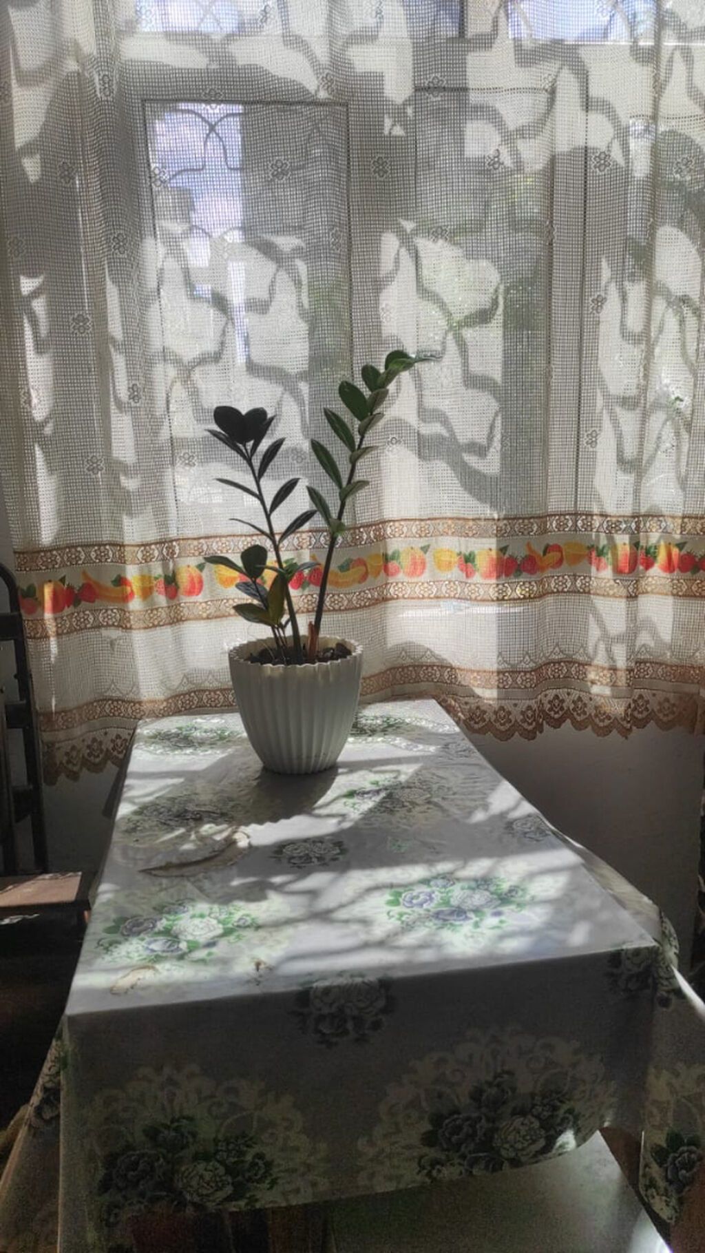 şəhərin ən prestijli yerində, elmlər akademiyası metrosunun — Mənzil, Bakı (9)