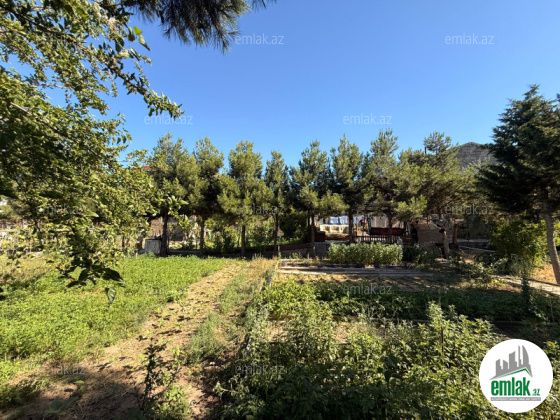 Satılır 7 sot torpaq Şağan — Torpaq (4)
