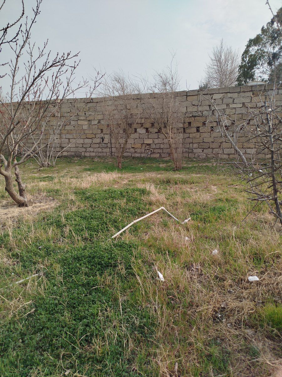 Satılır torpaq 5.5 sot — Torpaq, Bakı (4)