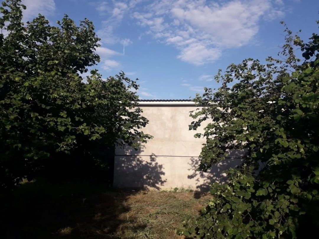 Satılır 3 otaqlı həyət evi/bağ evi 65 m² — Ev, villa, Qəbələ (5)