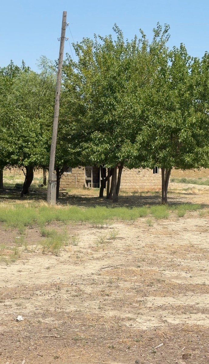 78000 sot torpaq sahəsi, Yevlax r — Torpaq, Yevlax (3)