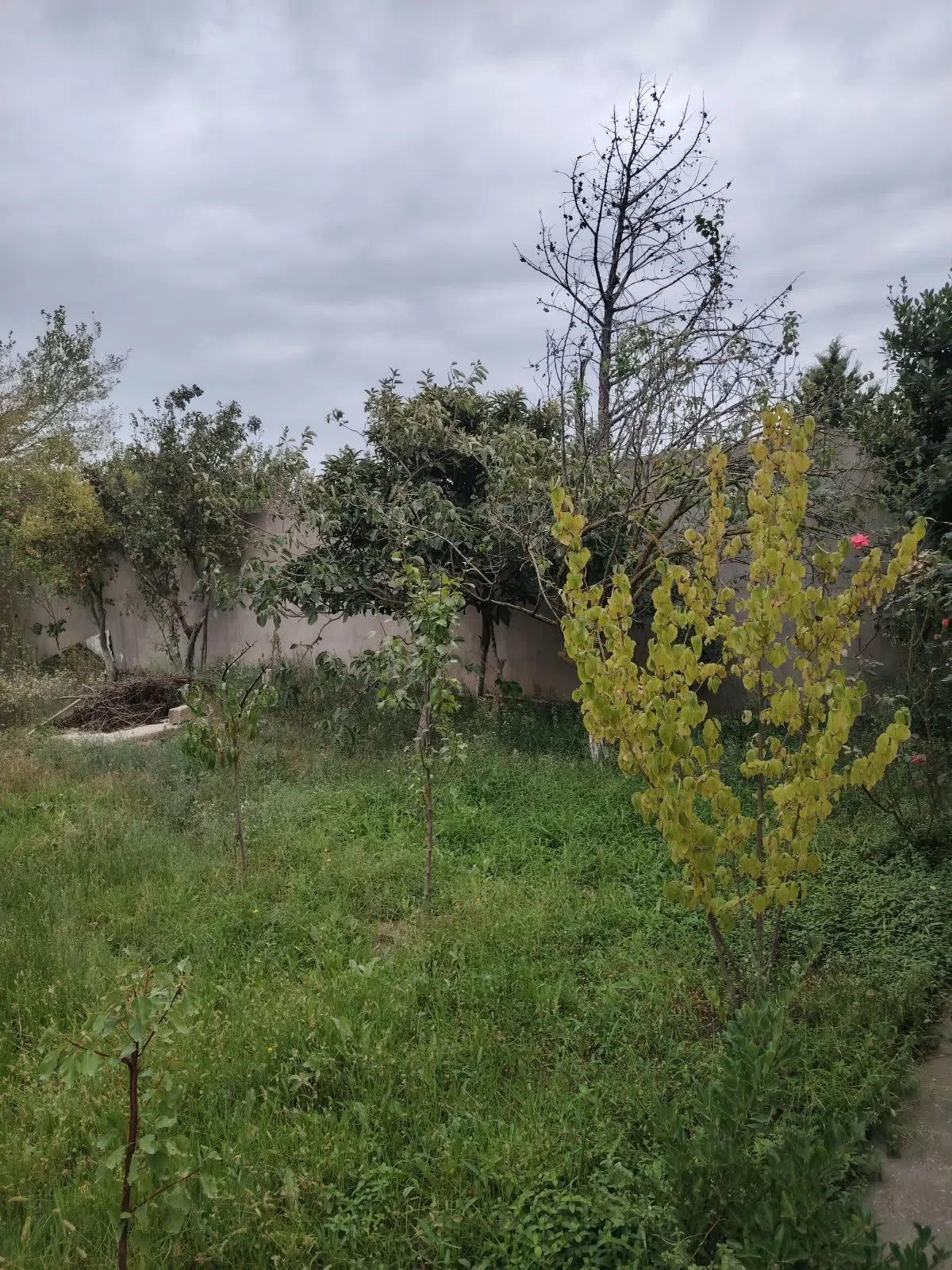 15 sot torpaq sahəsi satılır — Torpaq, Bakı (7)