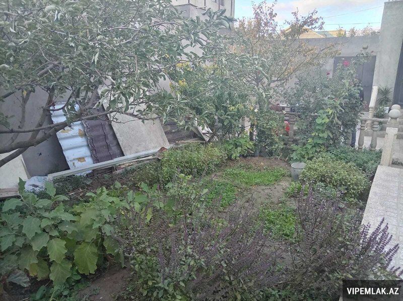 Səbail rayonunda 5 otaqlı Villa Satılır, 210 m² — Ev, villa, Bakı (3)