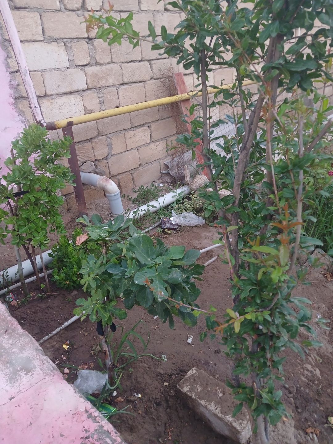 Satılır 3 otaqlı həyət evi/bağ evi 120 m² — Ev, villa, Bakı (5)