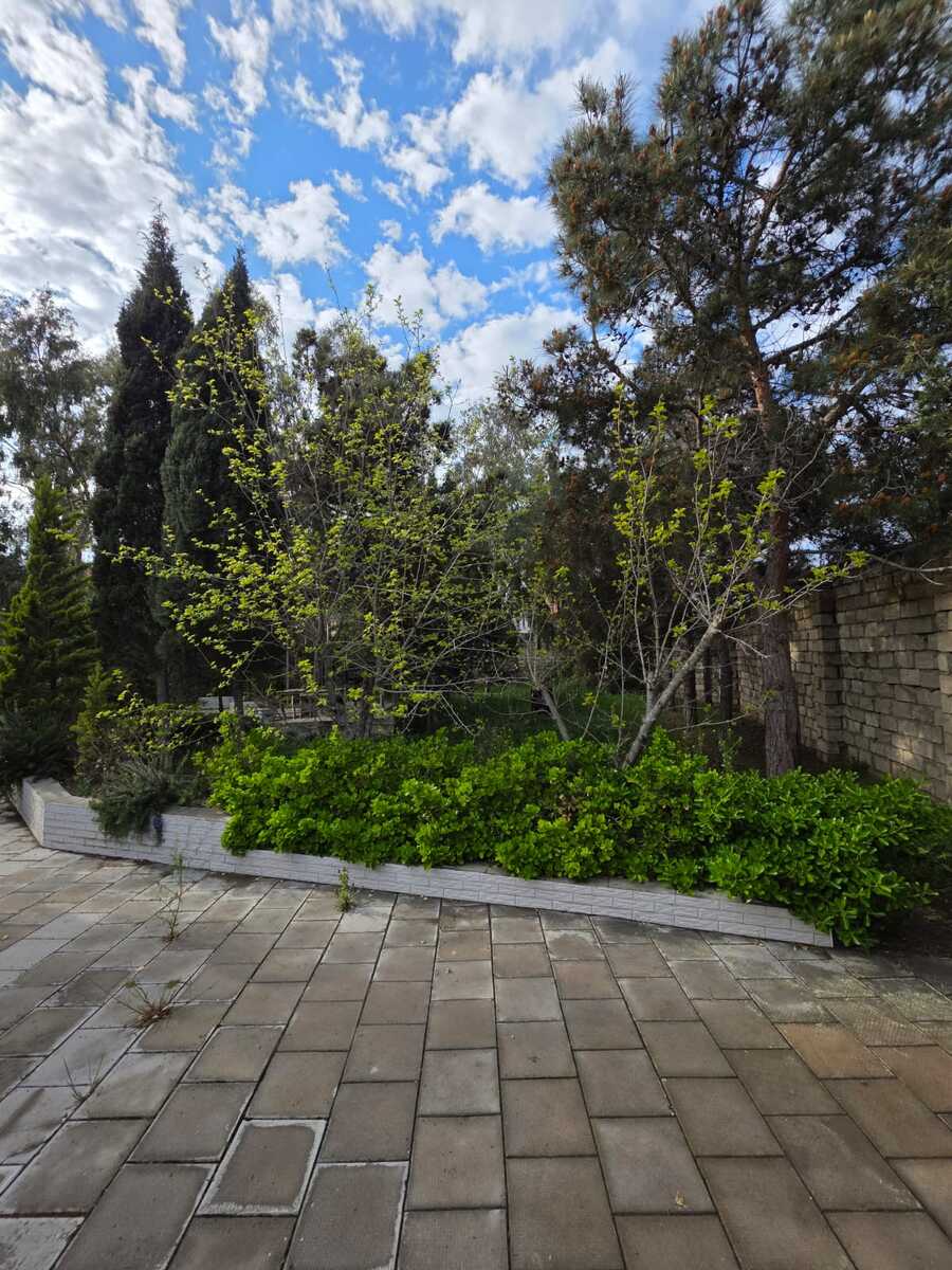 3 sot torpaq sahəsi, Şüvəlan qəs — Torpaq, Bakı (7)