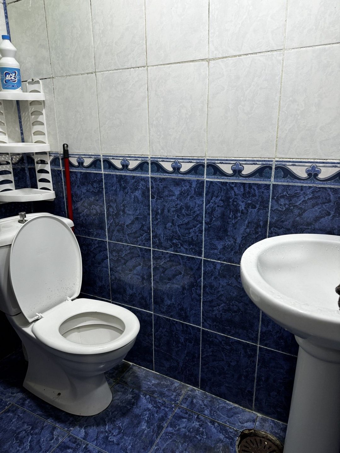 İcarəyə verilir 2 otaqlı həyət evi/bağ evi 42 m² — Ev, villa, Bakı (7)