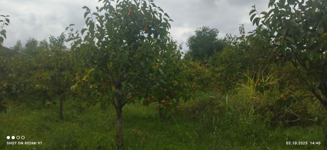 15 sot torpaq sahəsi, Ağdaş r — Torpaq, Ağdaş (11)