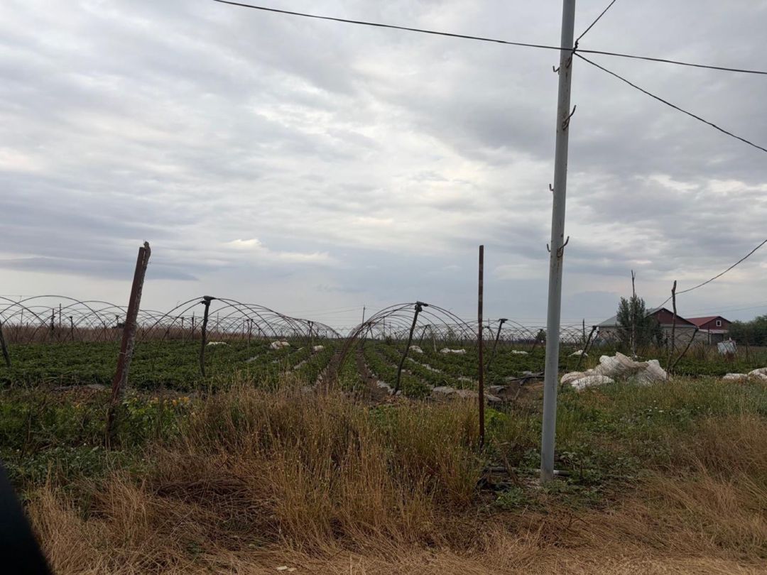 20 sot torpaq sahəsi, Cəlilabad r — Torpaq, Cəlilabad