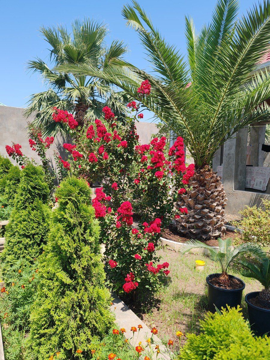 Satılır 7 otaqlı həyət evi/bağ evi 390 m² — Ev, villa, Bakı (4)