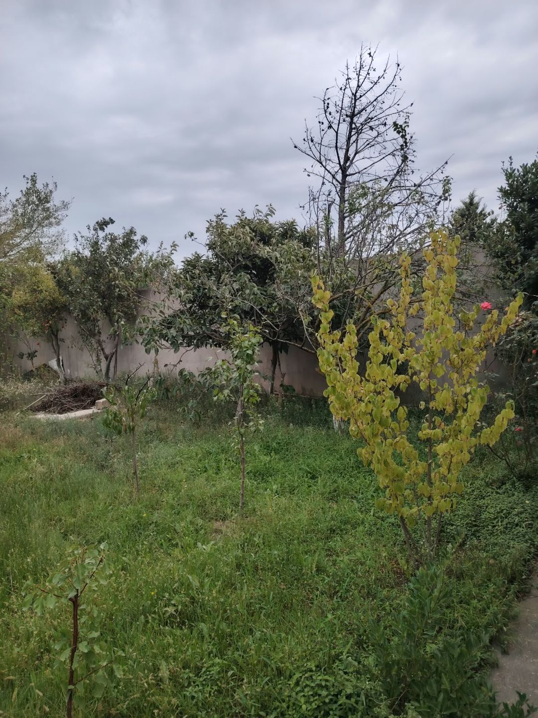 Satış: Torpaq, 15 sot, Xəzər rayonu — Torpaq, Bakı (6)