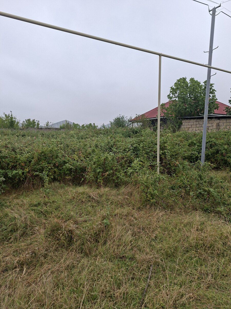 6 sot torpaq sahəsi, Şəki ş — Torpaq, Şəki (3)