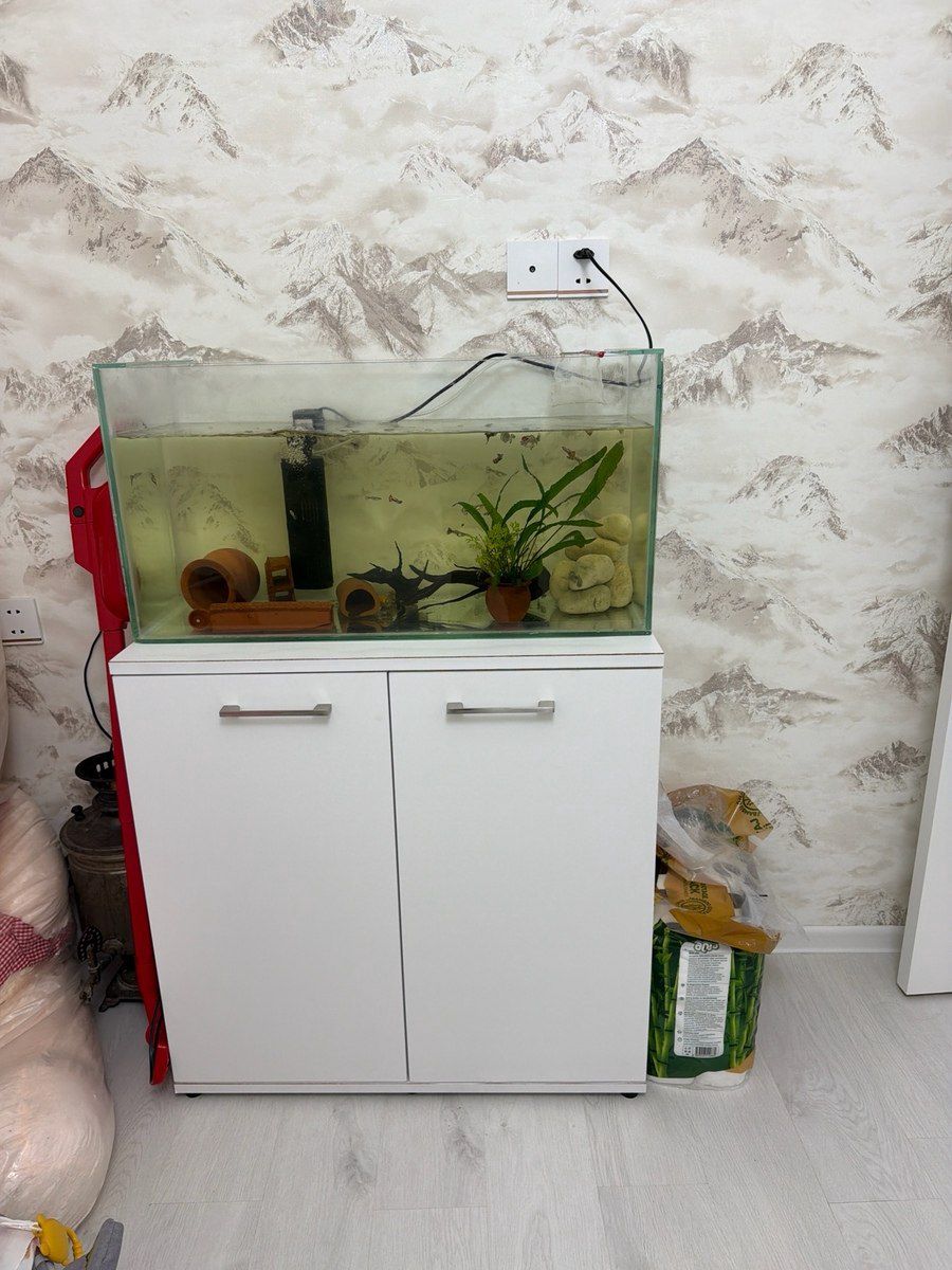 Akvarium və dolabı — Akvariumlar və balıqlar, Bakı
