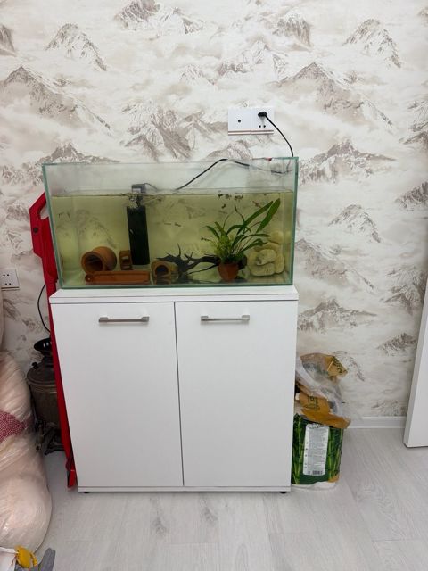 Akvarium və dolabı — Bakı