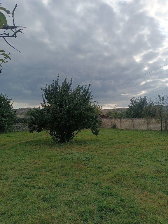 10 sot torpaq sahəsi, İsmayıllı r — Torpaq, İsmayıllı (4)