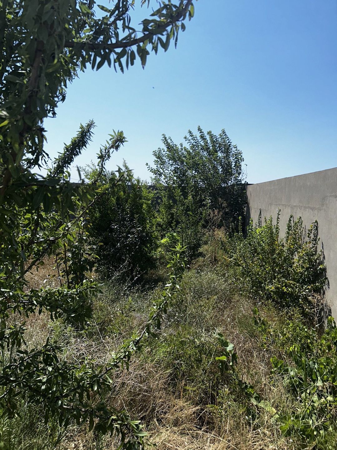 Satılır 4 otaqlı həyət evi/bağ evi 180 m² — Ev, villa, Bakı (3)