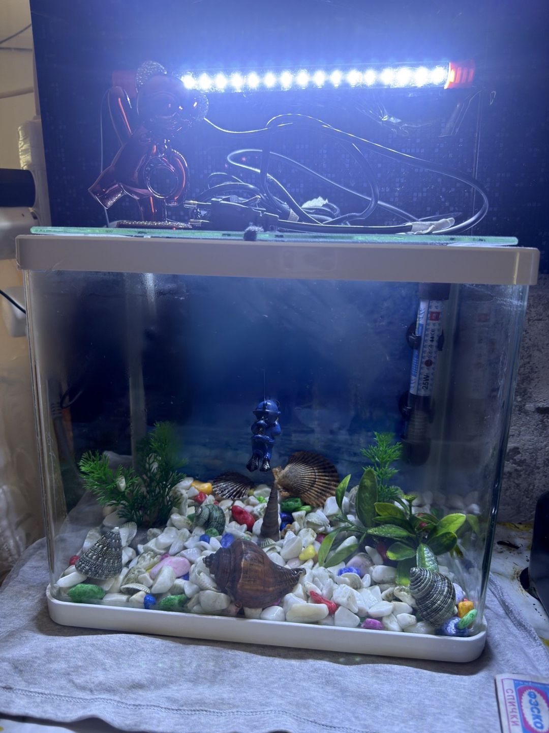 Akvarium — Akvariumlar və balıqlar, Bakı