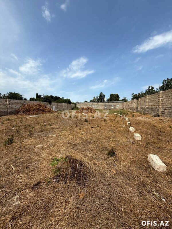 Torpaq Satılır Sabunçu r., Maştağa q., 12 sot — Torpaq, Bakı (4)