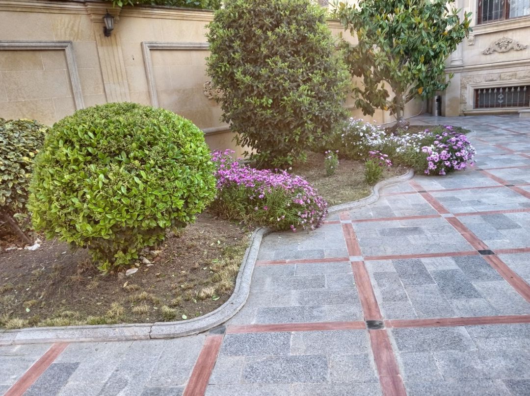 Bağban işi axtarıram — İş axtarıram, Bakı (6)