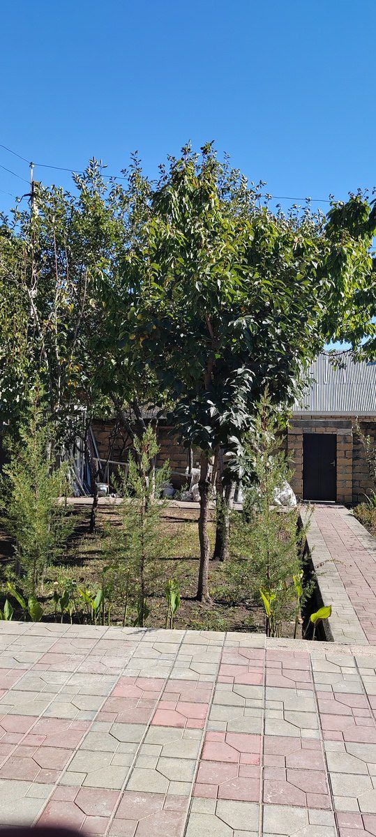Satılır 10 otaqlı həyət evi/bağ evi 300 m² — Ev, villa, Şəki (8)