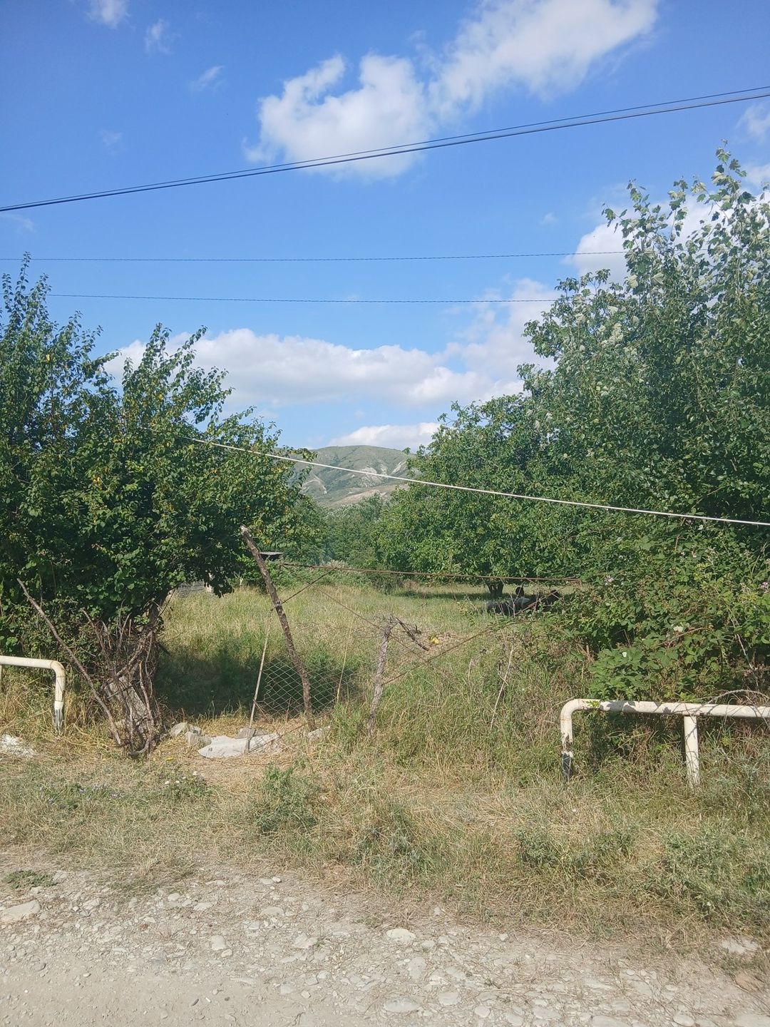 25 sot torpaq sahəsi, Şamaxı r — Torpaq, Şamaxı (6)