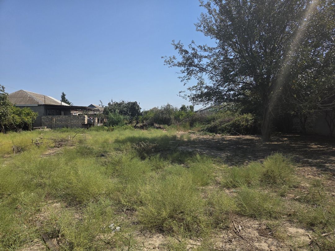 5 sot torpaq sahəsi, Şirvan ş — Torpaq, Şirvan (6)