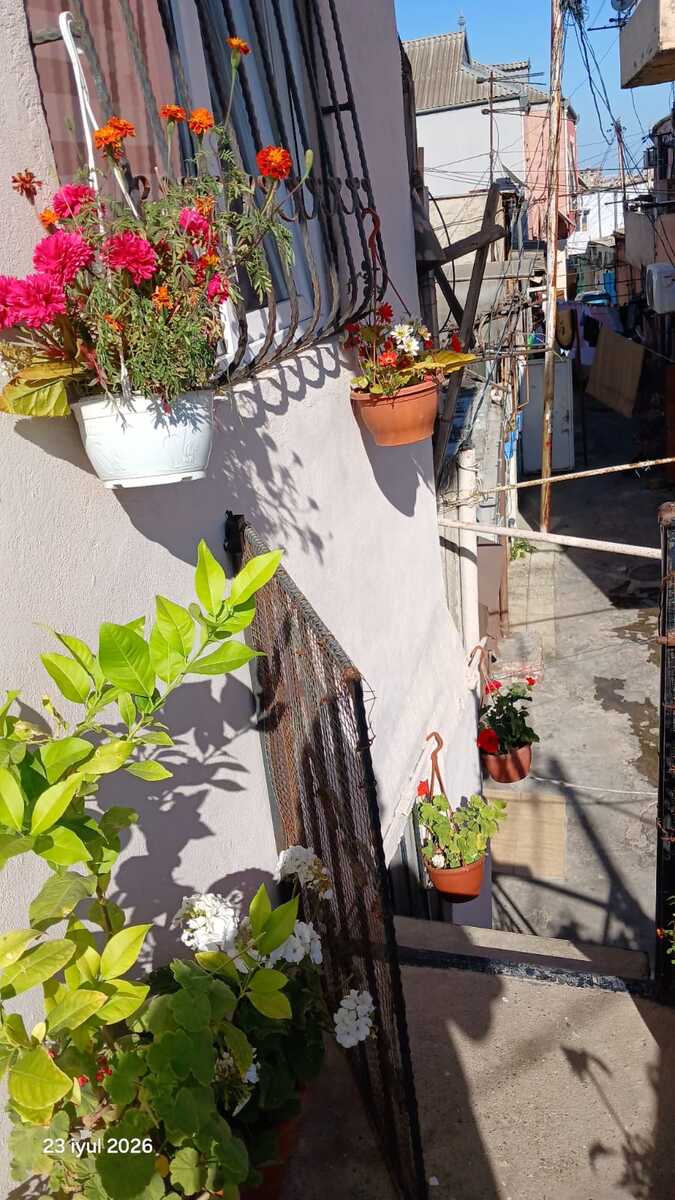 Həyət evi kirayə verilir, M.Əcəmi m — Ev, villa, Bakı (3)