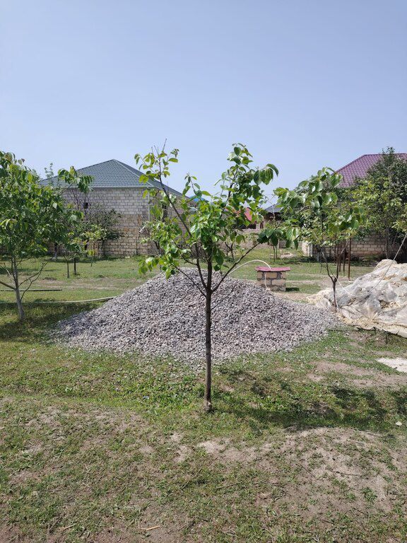 11.5 sot torpaq sahəsi, Bərdə r — Torpaq, Bərdə (7)