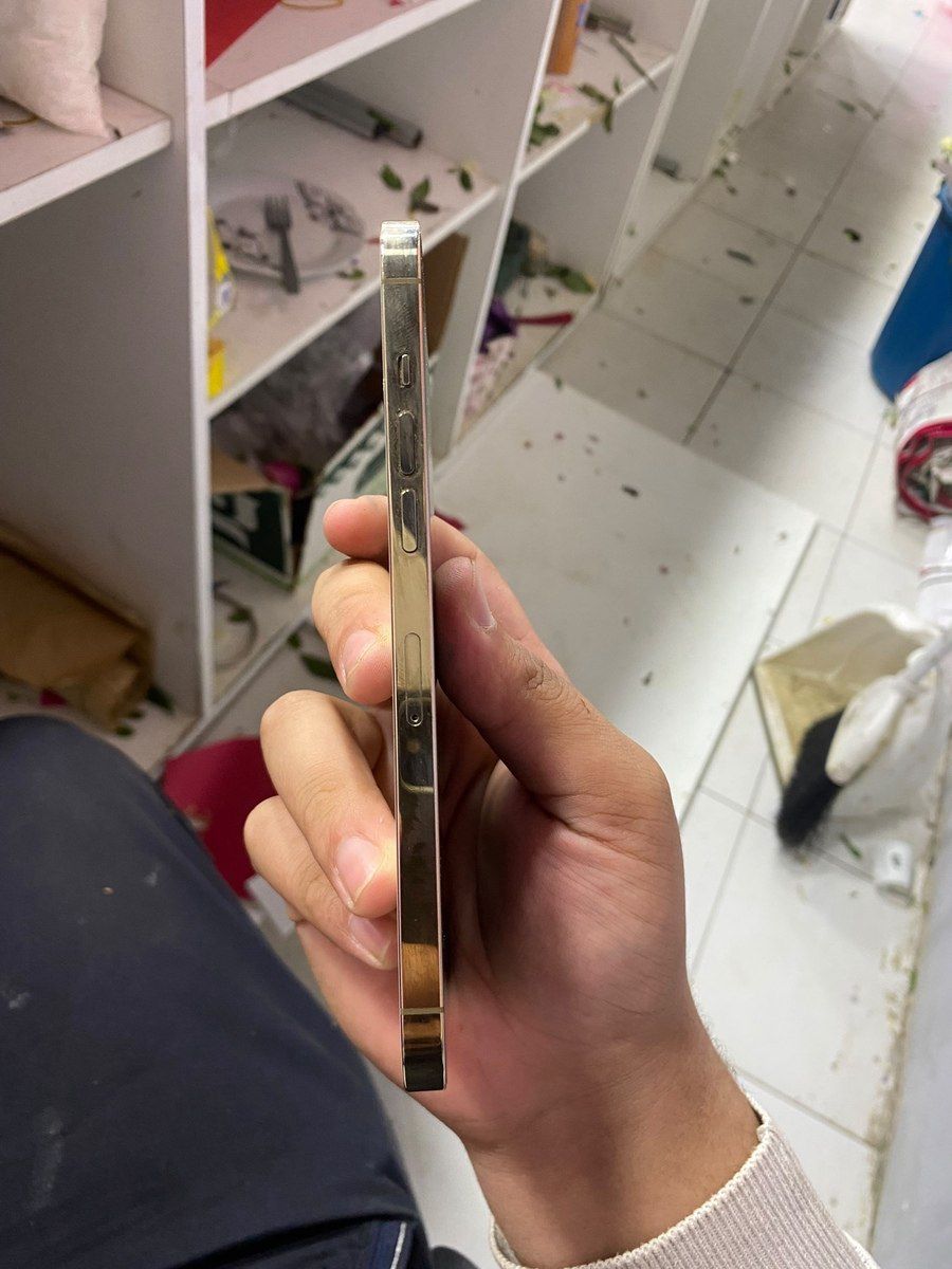 Apple iPhone 12 Pro Max Gold 128GB/6GB — Smartfonlar, Bakı (3)
