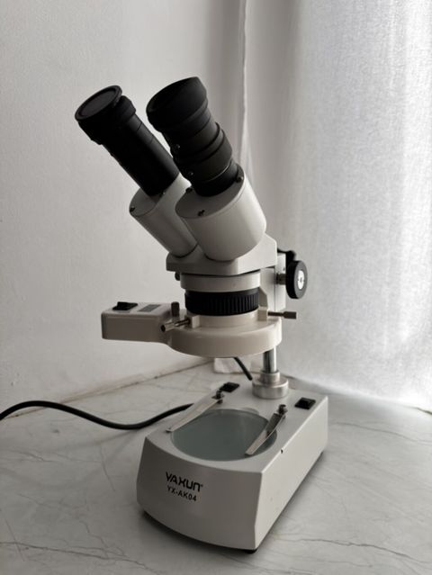 Vaxun YX-AK04 stereo mikroskop - İkiokulyarlı (binokulyar) başlıq — Masazır