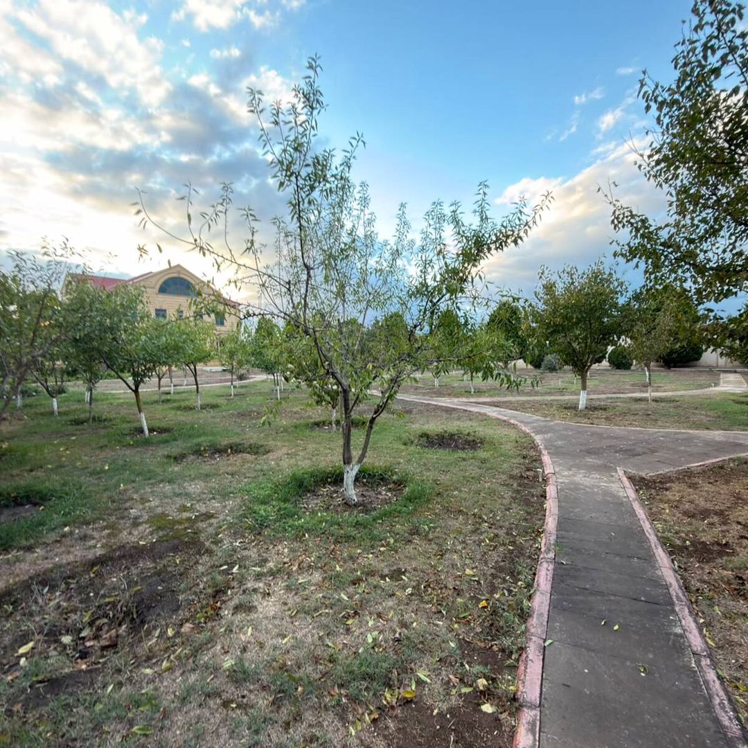 Satılır 7 otaqlı həyət evi/bağ evi 1100 m² — Ev, villa, Bakı (12)