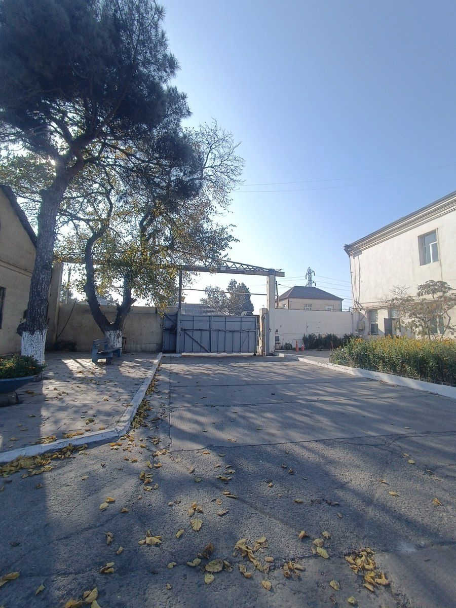İcarəyə verilir obyekt 720 m² — Əmlak, Bakı (12)