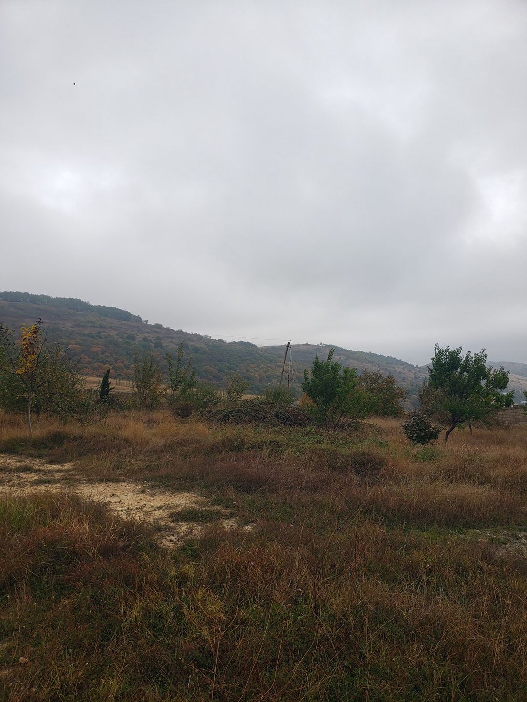 Satılır torpaq 30 sot — Torpaq, Şamaxı (8)