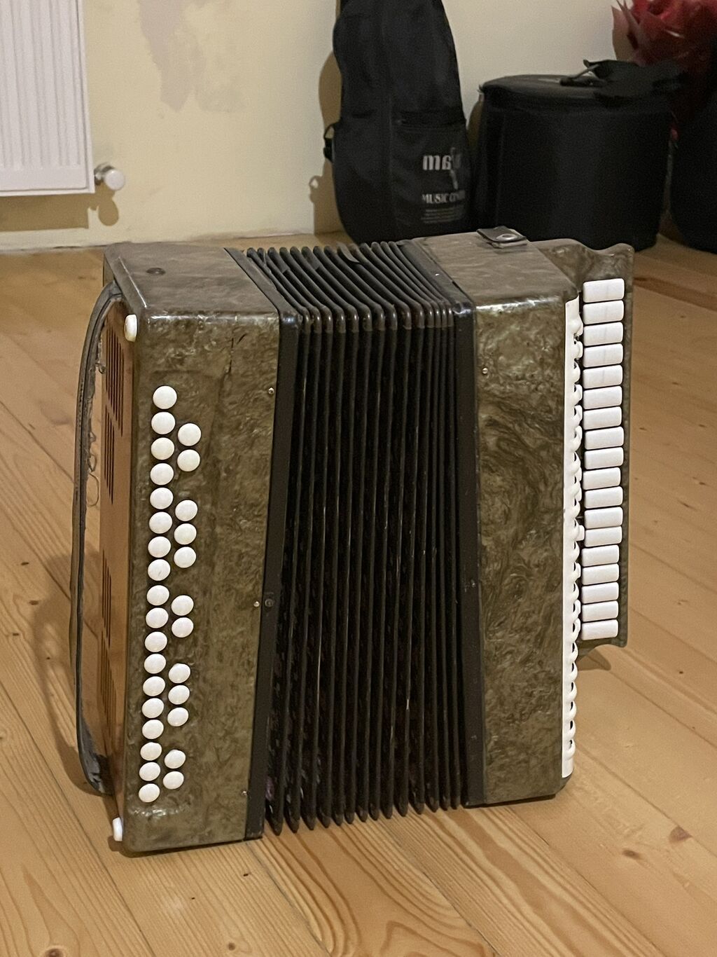 Qarmon, Akustik, İşlənmiş — Akkordeonlar, harmonilar, bayanlar, Bakı (7)