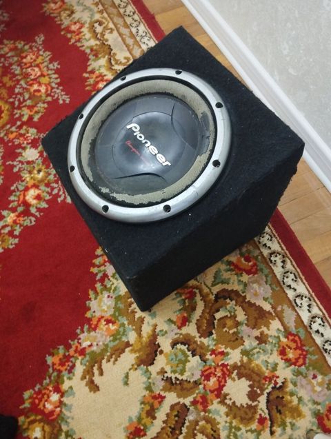 Pioneer Champion Series subvufer – TS-W308D2 - Model: TS-W308D2 (Dual — Digah