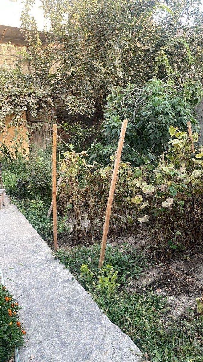 Satılır 7 otaqlı həyət evi/bağ evi 200 m² — Ev, villa, Bakı (12)