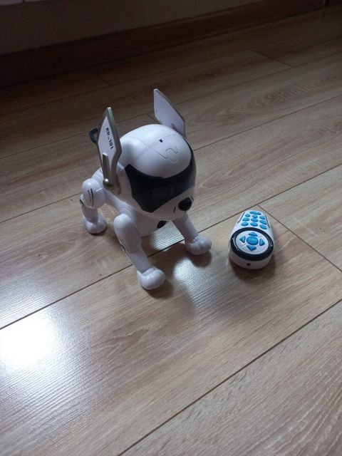 Robot it — Bakı
