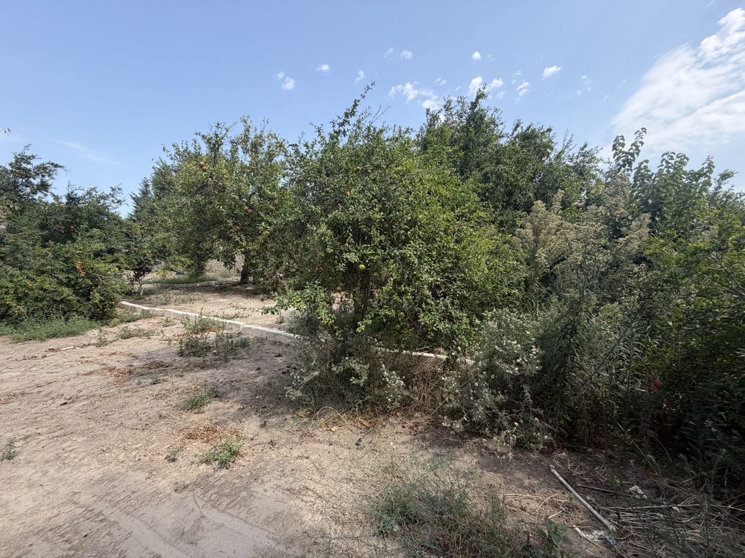 Satılır torpaq 11 sot — Torpaq, Bakı (2)