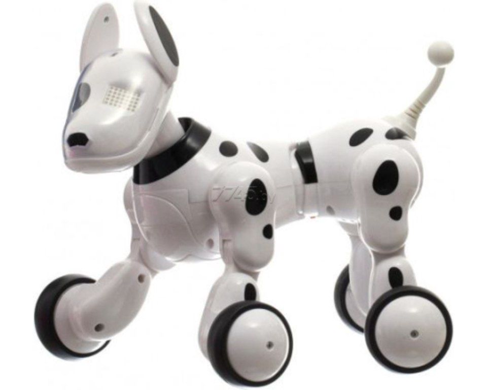 Oyuncaq robotlar — Oyuncaqlar, Bakı (7)