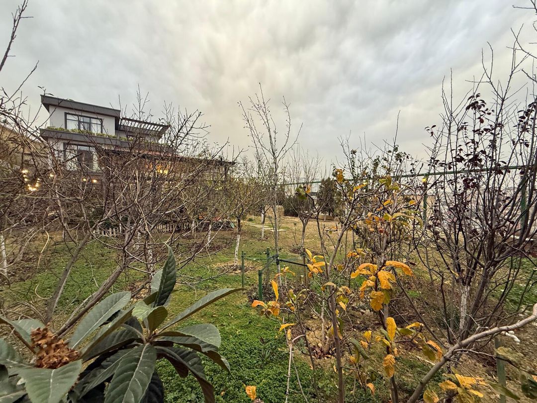Satılır 5 otaqlı həyət evi/bağ evi 500 m² — Ev, villa, Bakı (9)