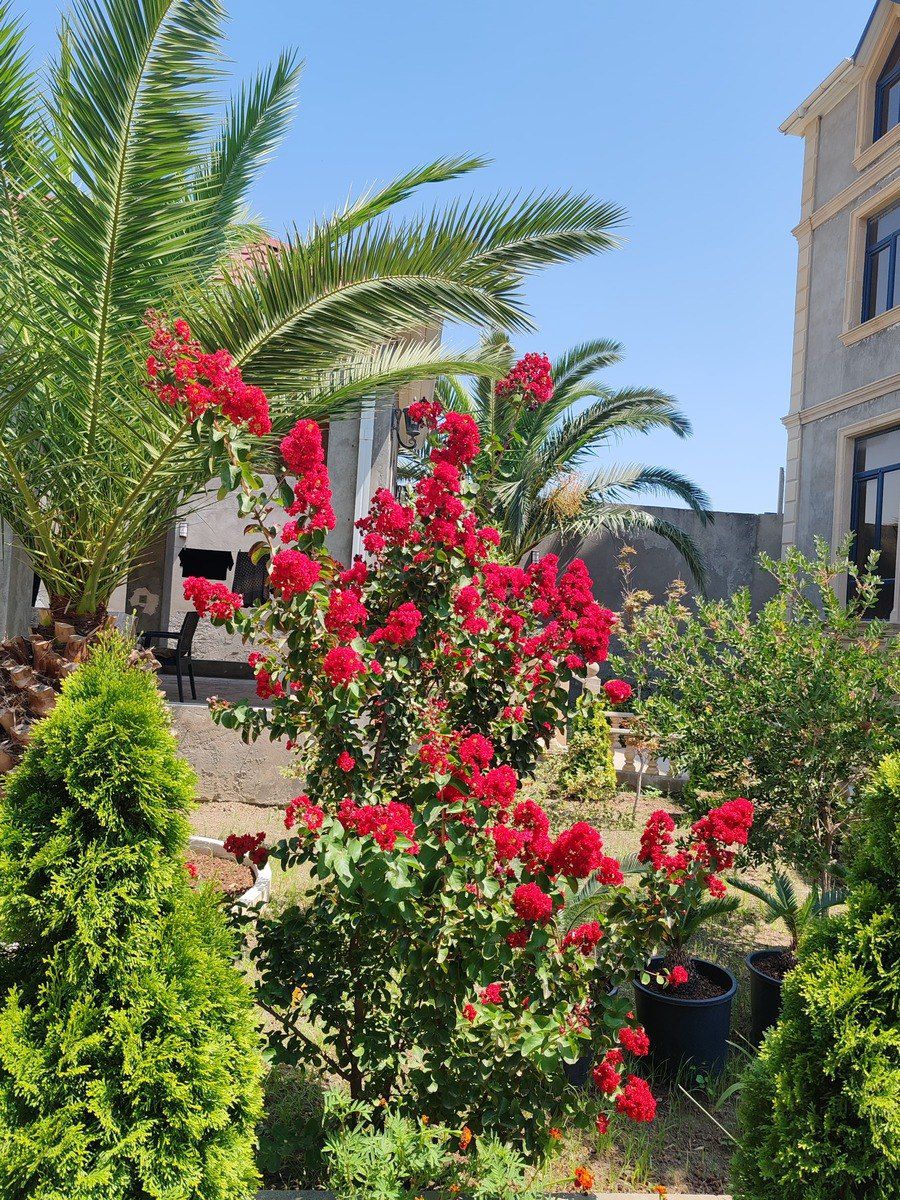Satılır 7 otaqlı həyət evi/bağ evi 390 m² — Ev, villa, Bakı (10)